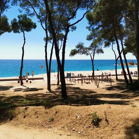 Tulipan 2_playa Fenals *